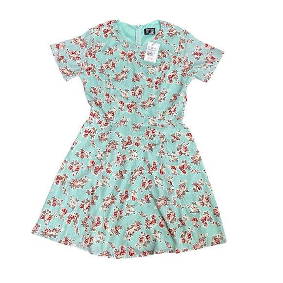 Womens Poppy Lux Dress Size 6 Fit And Flare Mint Green Floral - Picture 1 of 8